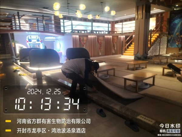鸿池波汤泉晋安路店消杀