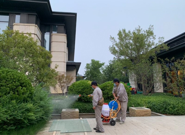 消杀工作在哪个月份进行比较好？