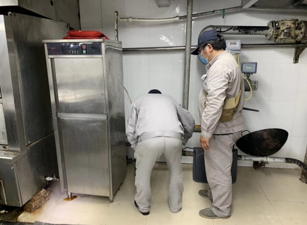 冬季居家除四害注意事项