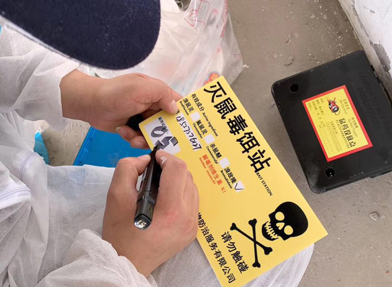 周口正规除蟑螂价格