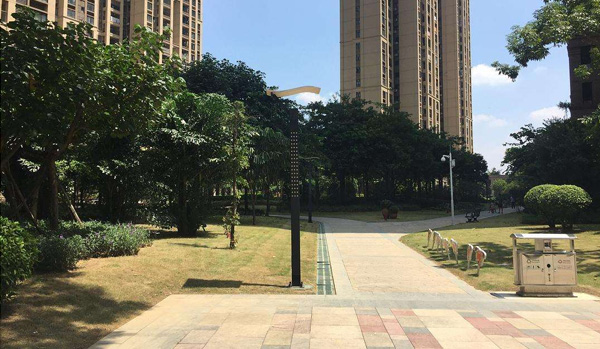 郑州正规灭老鼠价格