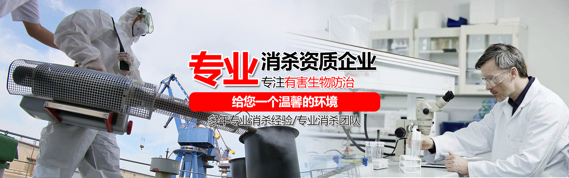 开封杀虫