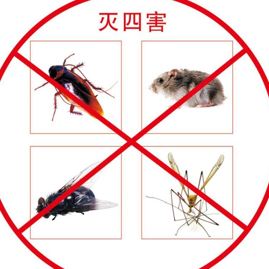 开封有害生物防治.jpg